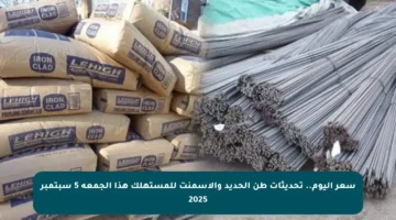 سعر اليوم.. تحديثات طن الحديد والأسمنت للمستهلك هذا الجمعة 5 سبتمبر 2025
